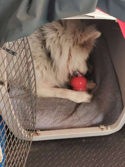 Kommt aus der Wut nicht mehr raus-Beitrag-Bild