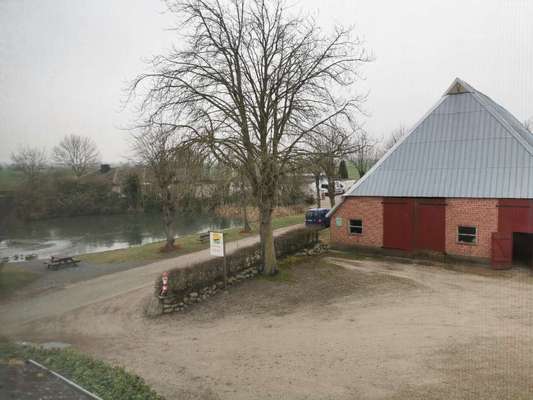 Silvester mit Angsthund-Beitrag-Bild