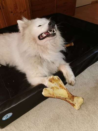 Lieblingsbild-Beitrag-Bild