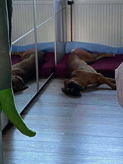 Die unbequemsten und lustigsten Schlafpositionen-Beitrag-Bild