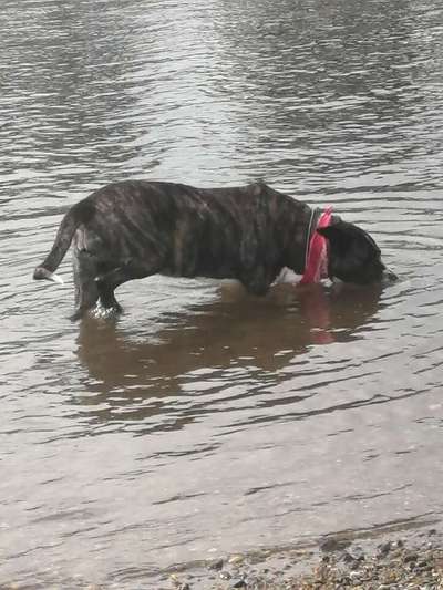 Theos Fotochallange Nummer 4-Beitrag-Bild