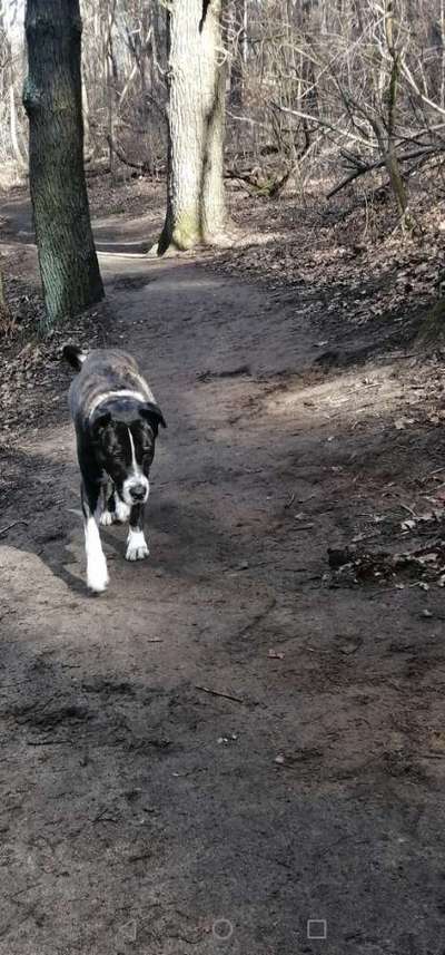 Ratespaß geht weiter-Beitrag-Bild
