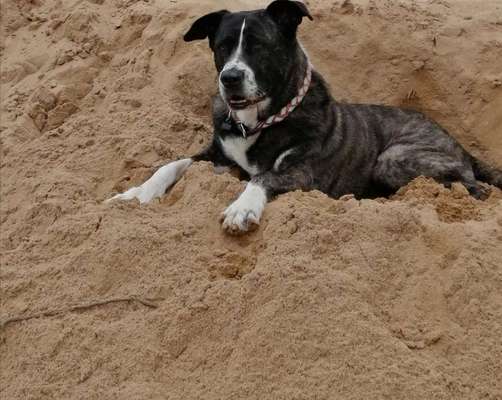 Lieblings Fotos-Beitrag-Bild