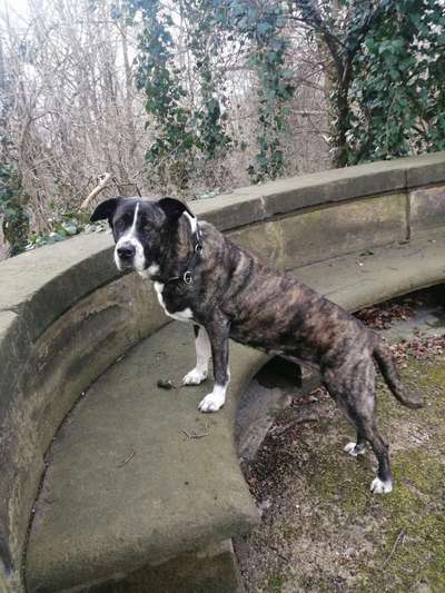 Trick Challenge Nr. 7-Beitrag-Bild