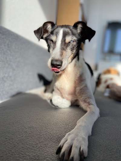 Fotochallange Nr. 57     PORTRÄT.   Beendet!!!!!!!!-Beitrag-Bild