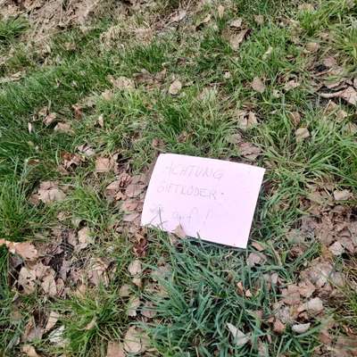 Giftköder-Wieder Giftköder gesichtet-Bild