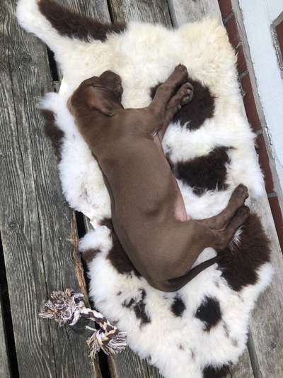 Fotochallange Nummer 5-Beitrag-Bild