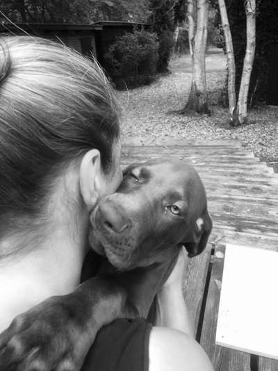 Vertrauen zwischen Hund und Halter-Beitrag-Bild