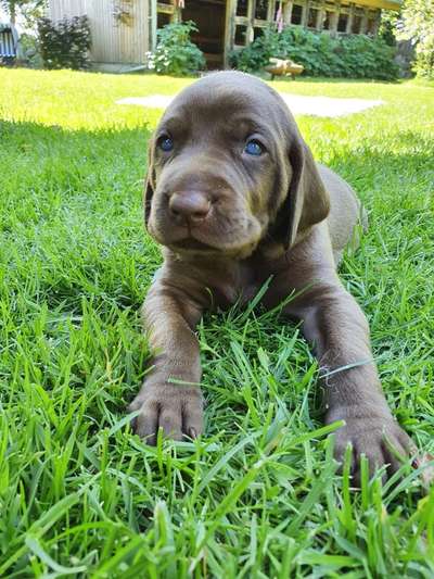 28. Handy-Fotochallenge - Damals und heute-Beitrag-Bild