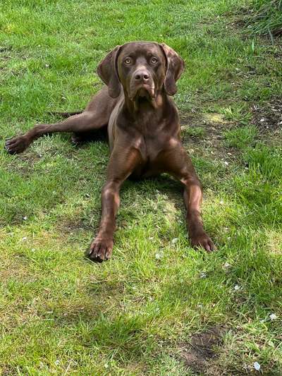 28. Handy-Fotochallenge - Damals und heute-Beitrag-Bild