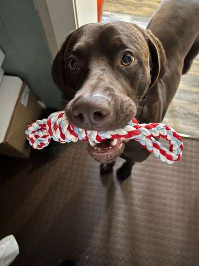 Zeige deinen Schatz mit seinem Lieblingsspielzeug.-Beitrag-Bild