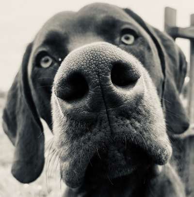 Fotochallange Nr. 57     PORTRÄT.   Beendet!!!!!!!!-Beitrag-Bild