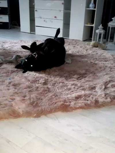 Lieblings Schnappschuss?-Beitrag-Bild