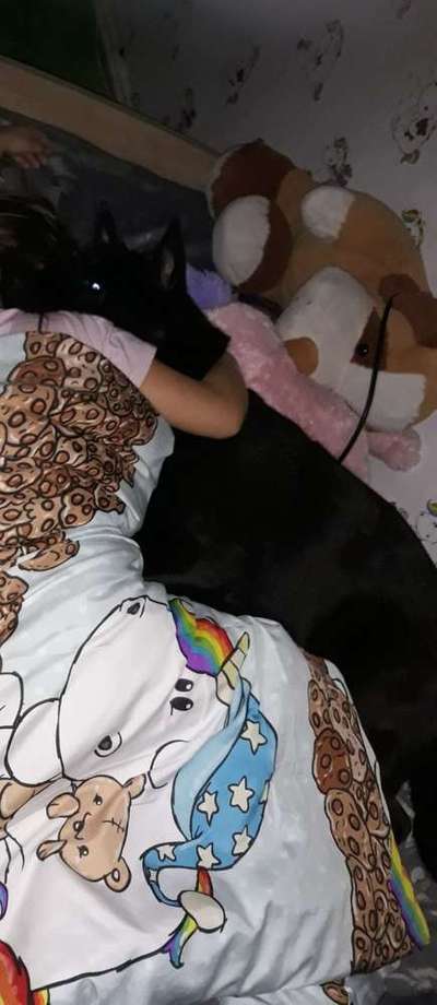 Im Bett schlafen-Beitrag-Bild