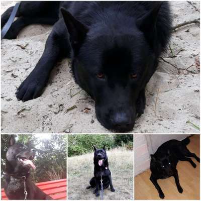 Vorher.... Nachher-Beitrag-Bild