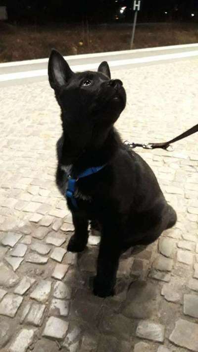 Vorher.... Nachher-Beitrag-Bild