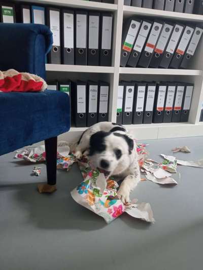 Zeigt her...-Beitrag-Bild