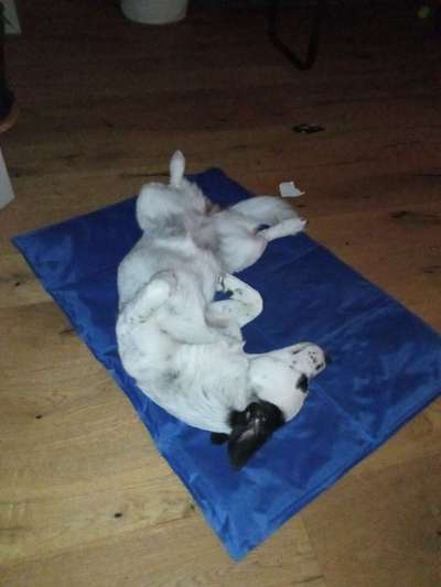 Zeigt her...-Beitrag-Bild