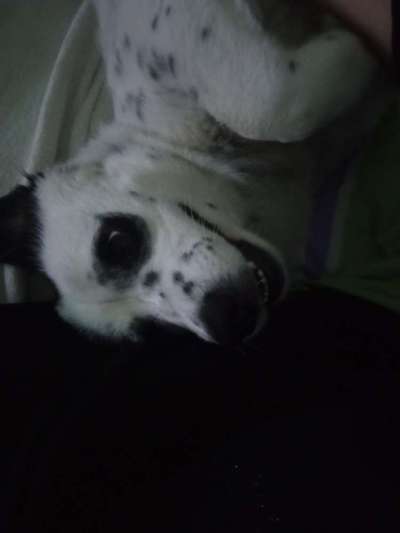 Das beste grinsefoto-Beitrag-Bild