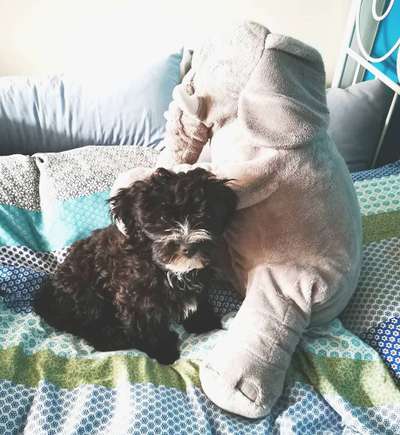 Foto Challenge 3-Beitrag-Bild