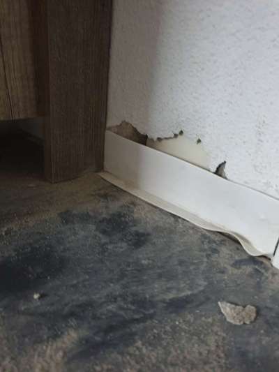 Zeig mir, dass du mit einem hund zusammenlebst....-Beitrag-Bild