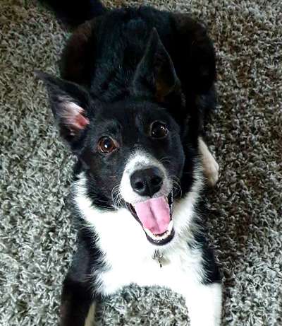 Fotochallange Nr. 57     PORTRÄT.   Beendet!!!!!!!!-Beitrag-Bild