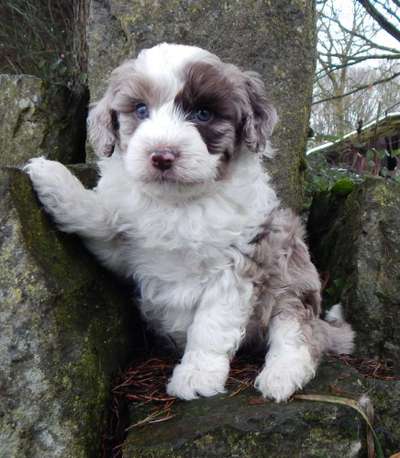 Vorher.... Nachher-Beitrag-Bild