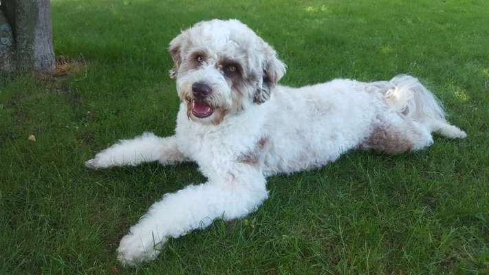 Vorher.... Nachher-Beitrag-Bild