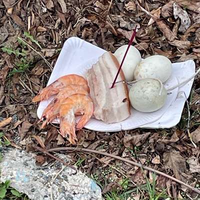 Giftköder-Großes Tablett Giftköder-Bild