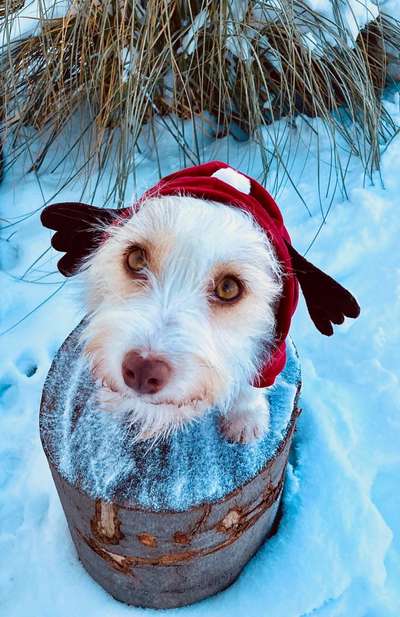 Lieblingsbild-Beitrag-Bild