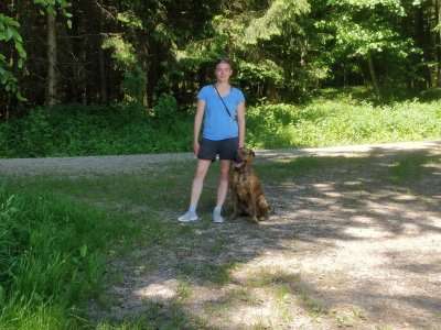 Hundetreffen-Gassi gehen und Spielen-Bild