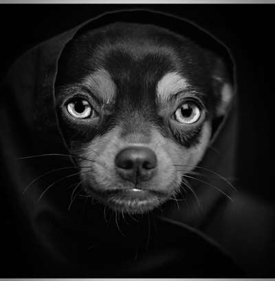 Foto-Challenge 76: Foto in Schwarz-Weiss-Beitrag-Bild