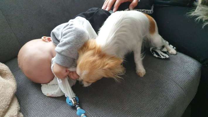 Neues Familienmitglied-Beitrag-Bild