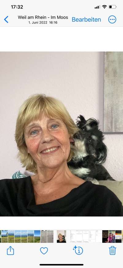 Welchen Hund hast du?-Beitrag-Bild