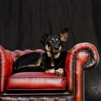 %{de_profession_title}-Heimshootings-Bild