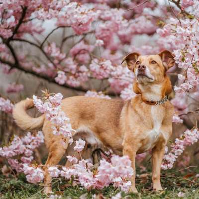 %{de_profession_title}-Aktionsshootings-Bild