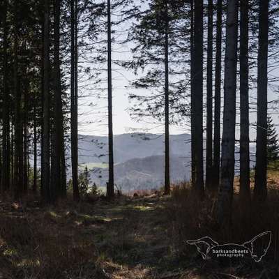 %{de_profession_title}-Fotowanderung - Große Runde-Bild