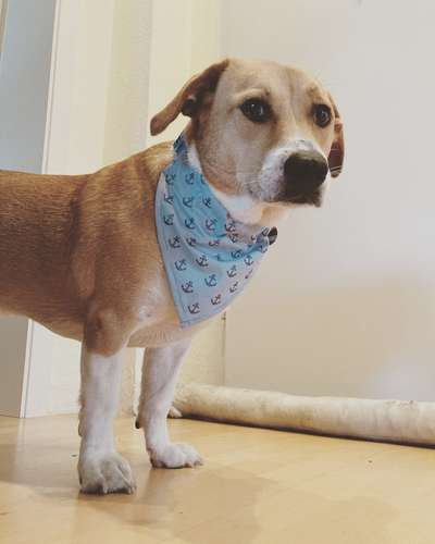 Zeigt eure Portraits-Beitrag-Bild