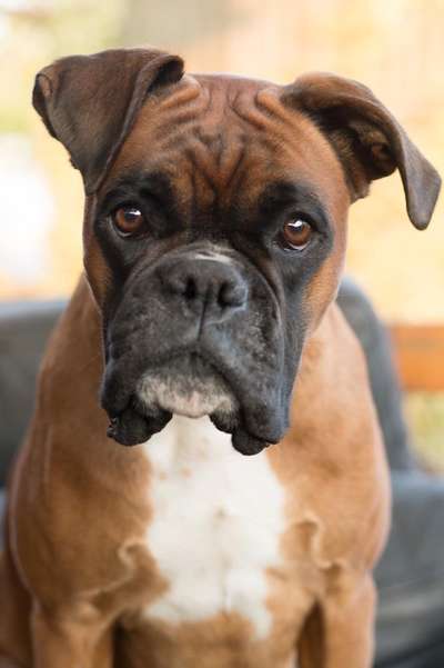 Fotochallange Nr. 57     PORTRÄT.   Beendet!!!!!!!!-Beitrag-Bild