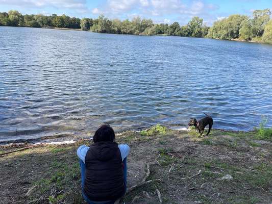 Hundeauslaufgebiet-Dungelbecker See-Bild