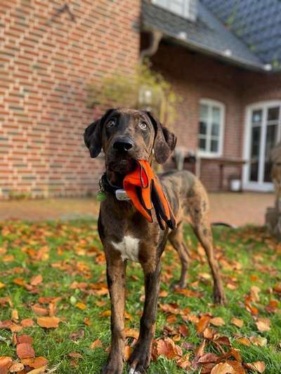 Fotochallenge Nr. 64-Beitrag-Bild