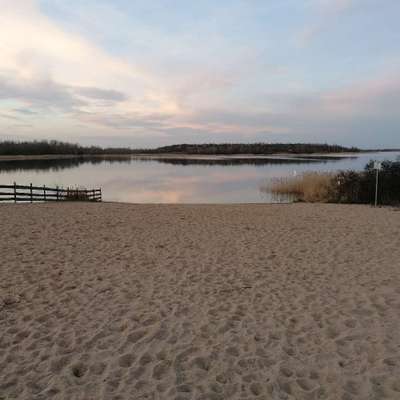 Hundeauslaufgebiet-Biedermeierstrand-Bild