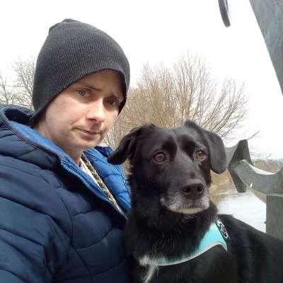 Hundetreffen-Kleine und große Hunde-Profilbild