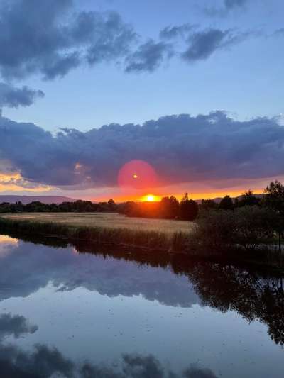 Die wunderschöne Welt mit Hund.-Beitrag-Bild