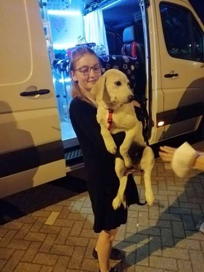 Das erste Foto-Beitrag-Bild