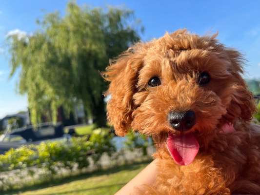 Fotochallenge 101:
On Tour-Beitrag-Bild