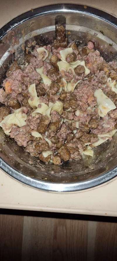 Zeigt her Eure Futternäpfe-Beitrag-Bild