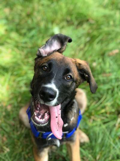 Handy-foto Challange nr. 11-Beitrag-Bild