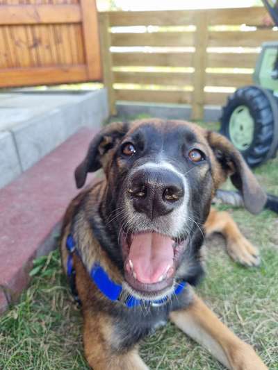 Tongue Out Tuesday-Beitrag-Bild