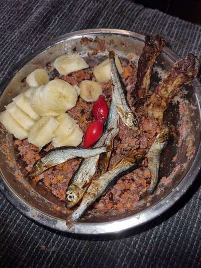 Zeigt her Eure Futternäpfe-Beitrag-Bild